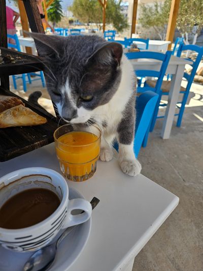 Photo of Μαντό
