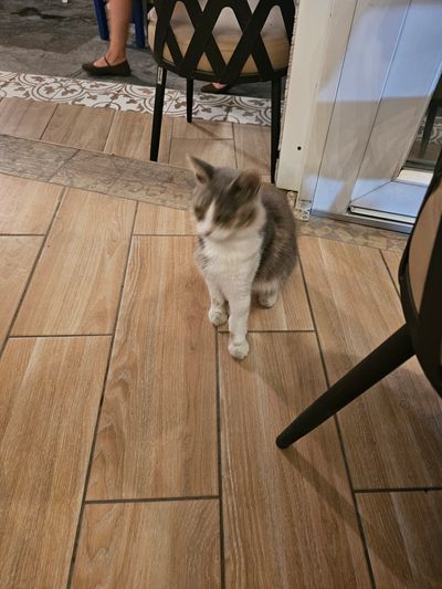 Photo of Hangry