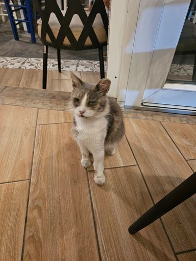 Photo of Hangry