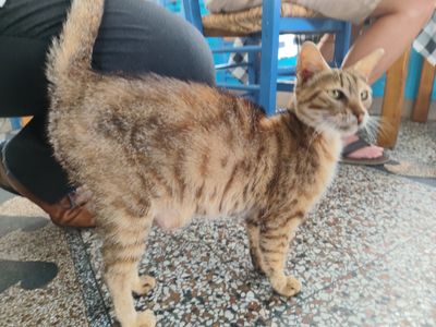Photo of Preg
