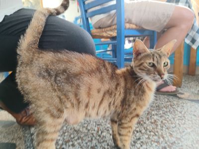 Photo of Preg