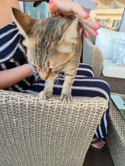 Photo of Gussy