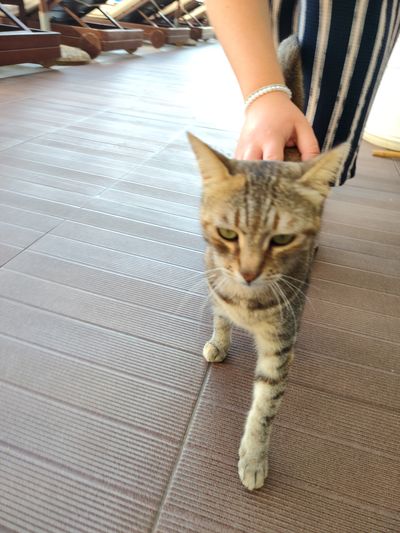 Photo of Gussy